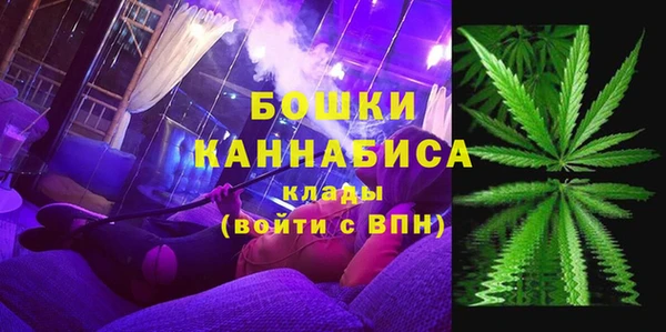 ГАЛЛЮЦИНОГЕННЫЕ ГРИБЫ Алексин