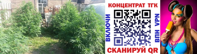 ТГК жижа  как найти   Гдов 