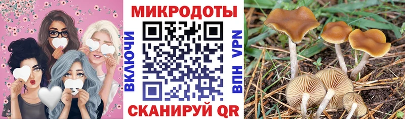 что такое наркотик  Гдов  Галлюциногенные грибы Psilocybine cubensis 