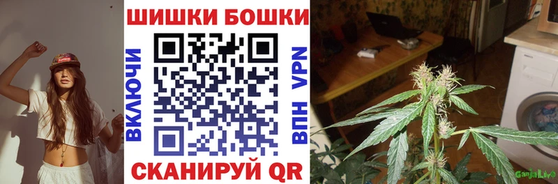 Бошки Шишки семена что такое наркотик ОМГ ОМГ зеркало Гдов